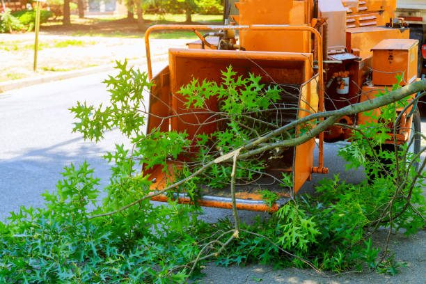 Best Lawn Irrigation Installation and Maintenance  in Lake Mills, IA