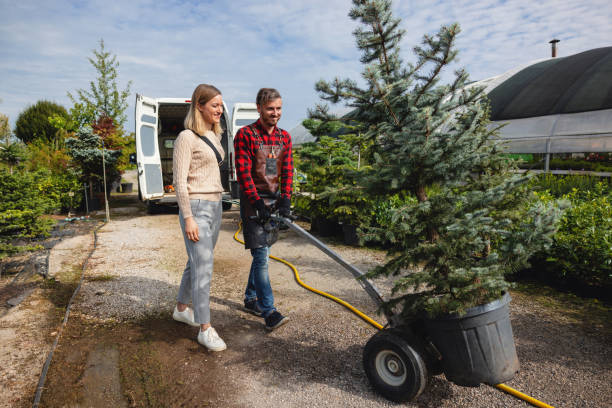 Mulching Services in Lake Mills, IA